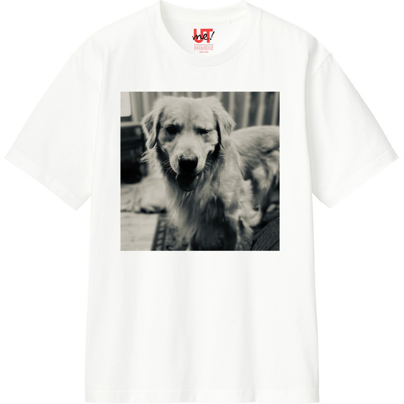 Abdb719a 1e1e 450c b398 2c2036e5e195 110 print ll