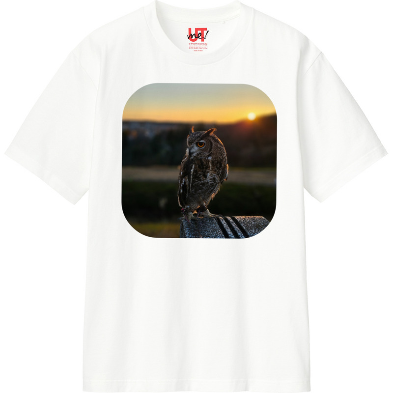 F7b668f4 66e7 48bb bd91 70e659311914 110 print ll