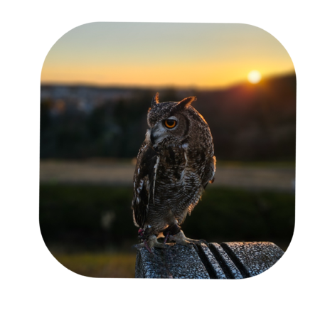 F7b668f4 66e7 48bb bd91 70e659311914 s