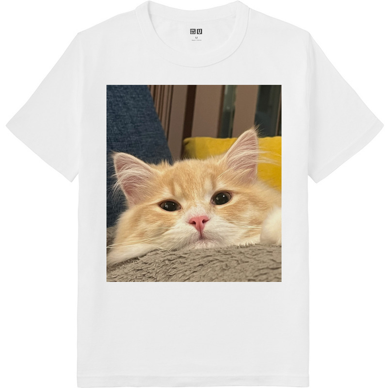 634c2c02 df49 455e 86c5 3e4726ba1f90 64 print ll