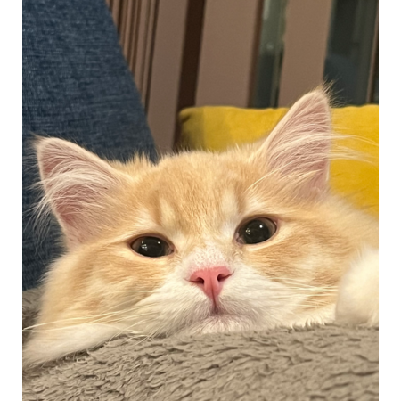 634c2c02 df49 455e 86c5 3e4726ba1f90 s