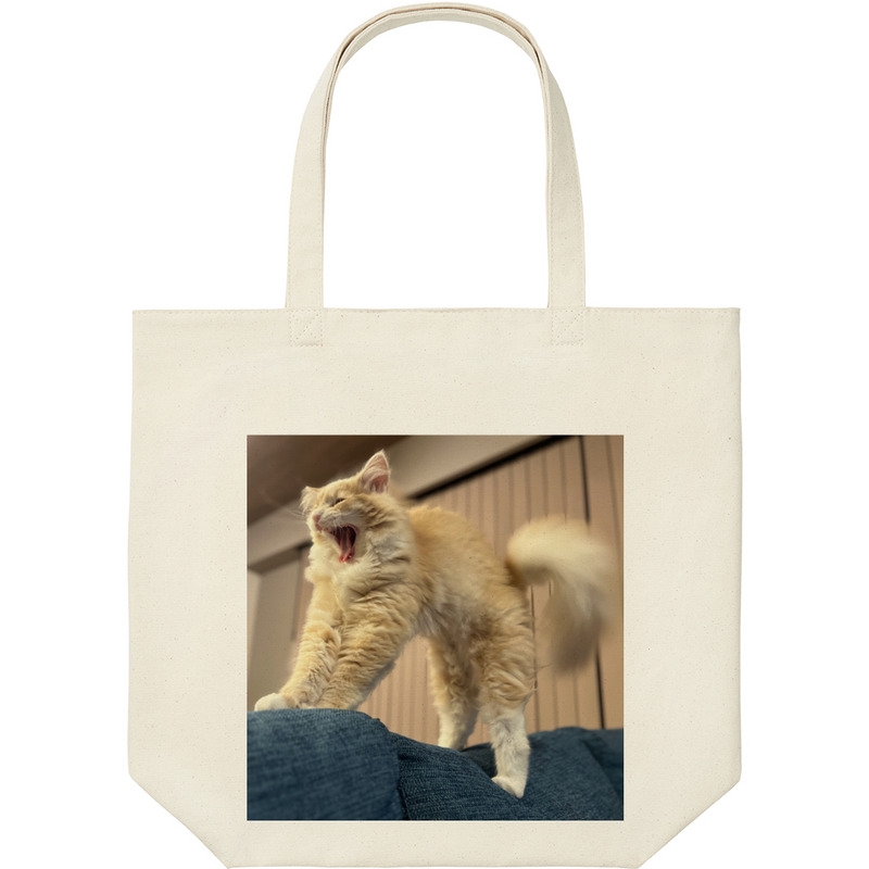 Ab97bdc8 c1ab 470e 8f28 cc6496d9ea28 9 print ll