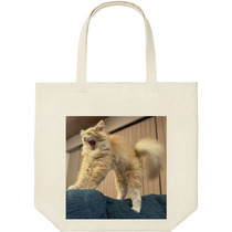 Ab97bdc8 c1ab 470e 8f28 cc6496d9ea28 9 print s