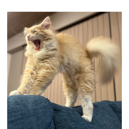 Ab97bdc8 c1ab 470e 8f28 cc6496d9ea28 s