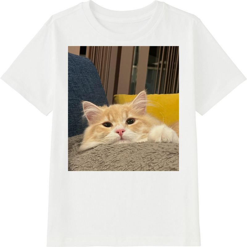 2f2085d6 c4fd 48cd 92f5 4ca6f9c792f5 45 print ll