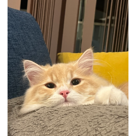 2f2085d6 c4fd 48cd 92f5 4ca6f9c792f5 s