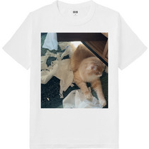 Cf09777e a7a4 4e28 b433 4b58d623a039 64 print s