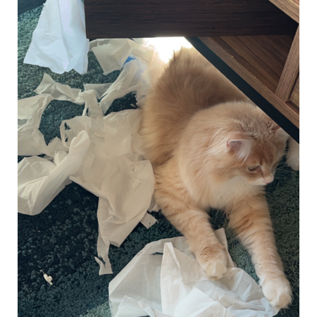 Cf09777e a7a4 4e28 b433 4b58d623a039 s