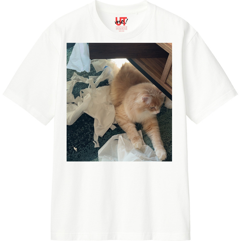 Ec4b1ca9 eeb2 4e45 9d6c 48d8985dd7f9 110 print ll