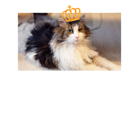 A1413345 c7d6 40c2 abc6 631b81bdf4c3 s