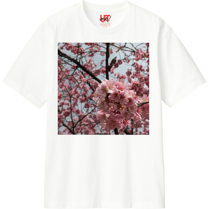 B44613db fb2a 4373 b4b0 47c2e8dd3c11 110 print ll