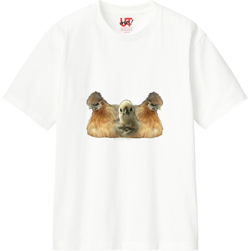 45e5ac3e a05d 4ed9 ae52 e79e0c28647b 110 print ll