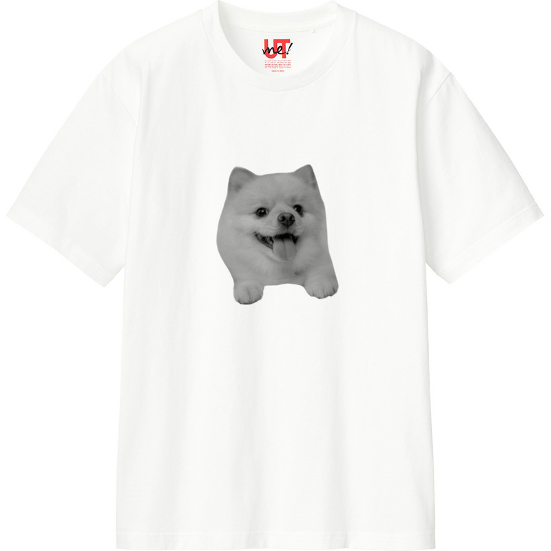 D6825f8a 653a 48c8 896b e595512f2ea2 110 print ll