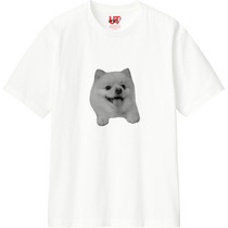 D6825f8a 653a 48c8 896b e595512f2ea2 110 print s