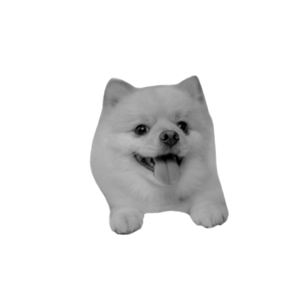 D6825f8a 653a 48c8 896b e595512f2ea2 s