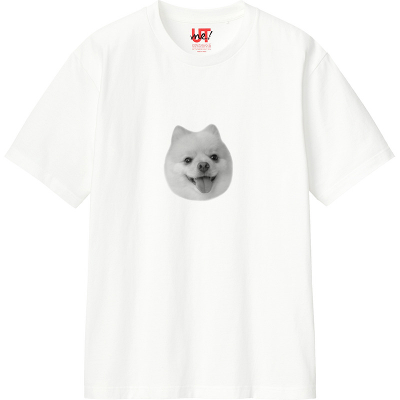 72f49b58 92f0 49da a29b 215c60fa1f2b 110 print ll