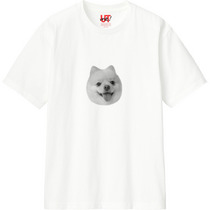 72f49b58 92f0 49da a29b 215c60fa1f2b 110 print s