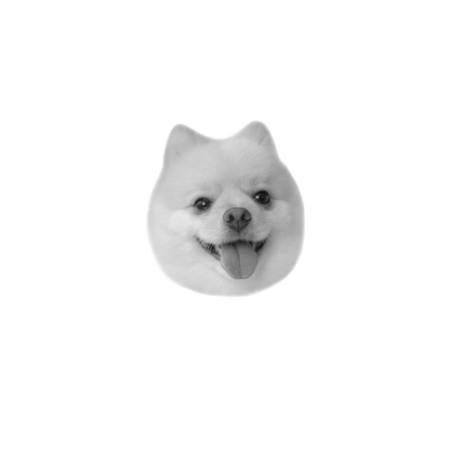 72f49b58 92f0 49da a29b 215c60fa1f2b s