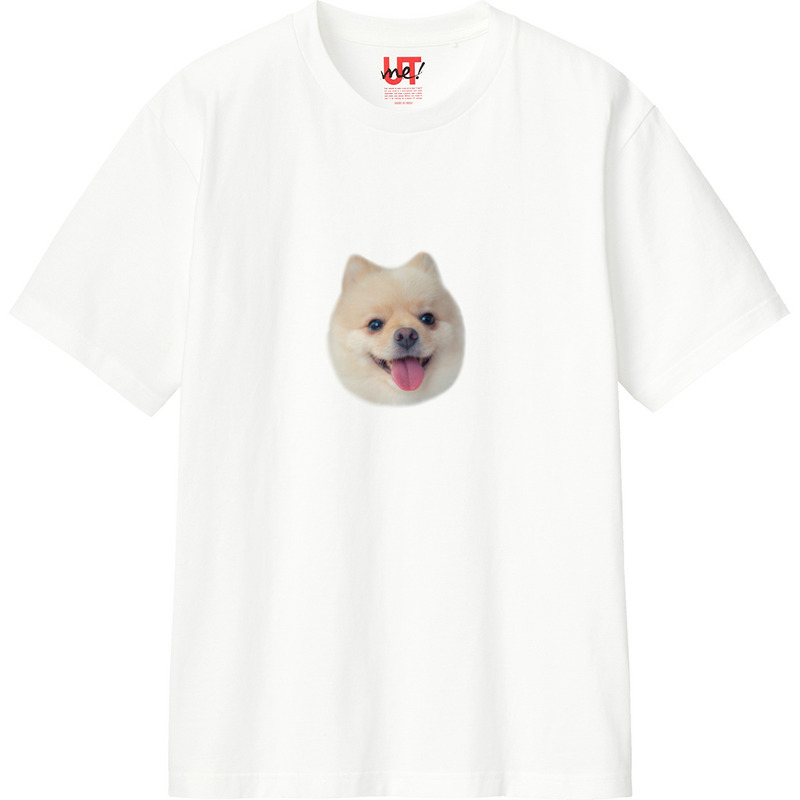 Ea52f713 5044 42f7 8575 8842d29e53da 110 print ll