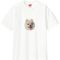 Ea52f713 5044 42f7 8575 8842d29e53da 110 print s