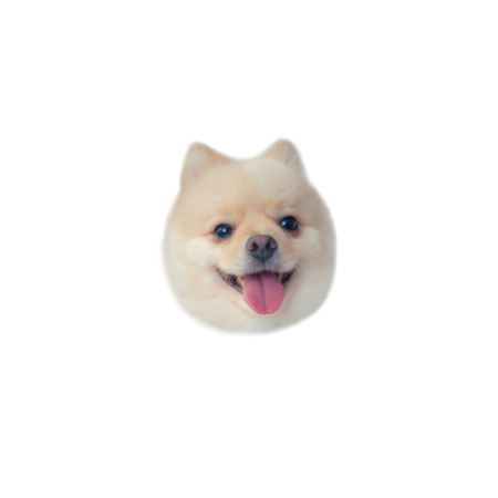 Ea52f713 5044 42f7 8575 8842d29e53da s