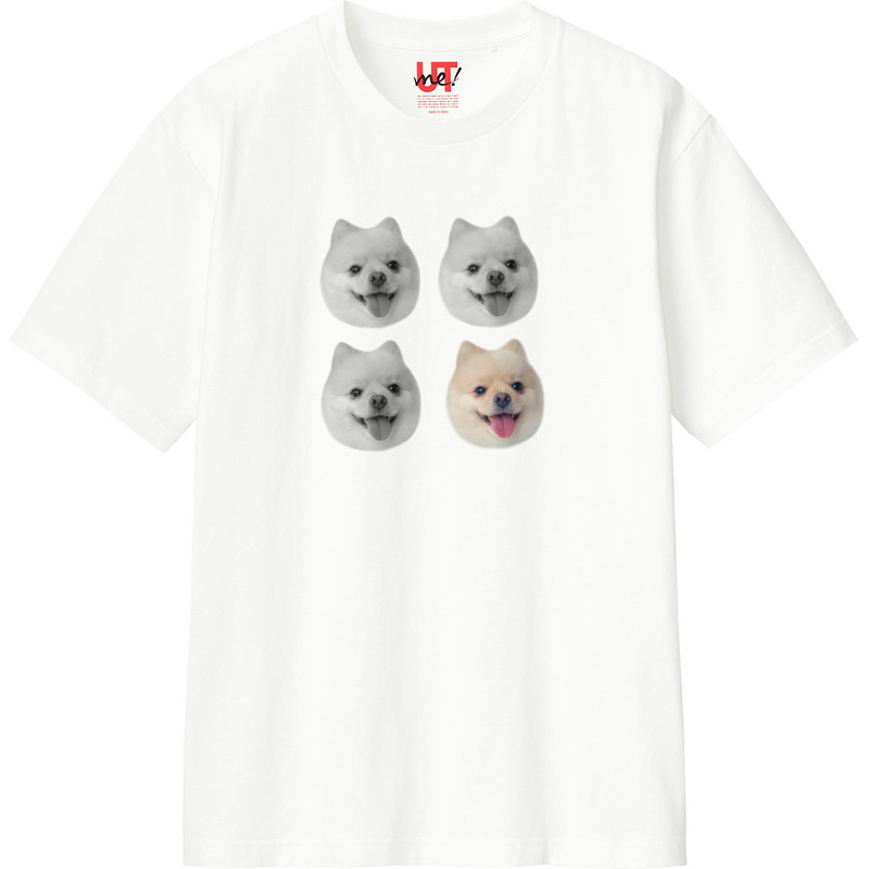 171c3420 93cb 46ce 9b5f c37f9a69d978 110 print ll