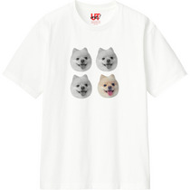 171c3420 93cb 46ce 9b5f c37f9a69d978 110 print s