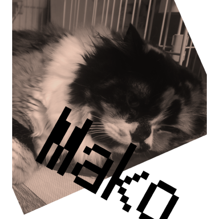 06c2f863 ee12 4c1c 8d8c 3085fe9435f1 s