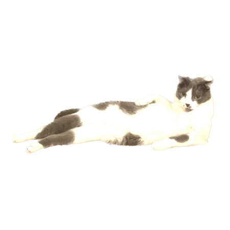 3c27fb2c 88a4 4f45 98de de54ffd34a66 s