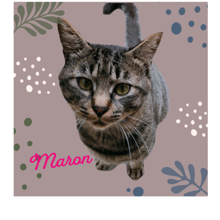 66a22f8d 366a 471f ab63 a5023752bbcb s