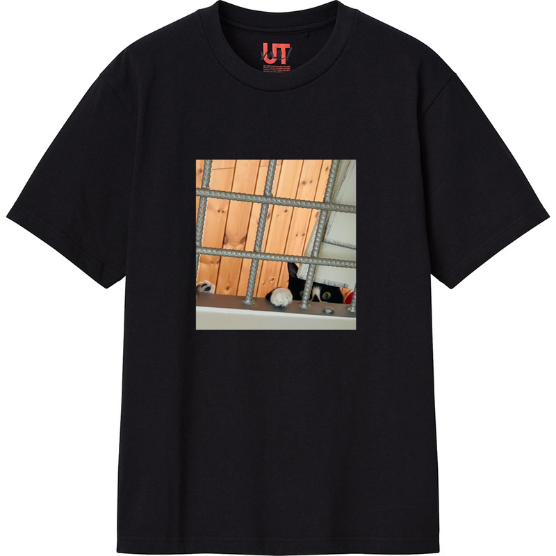 Dfee515e 7f01 45b3 8e99 505b87bd6363 111 print ll