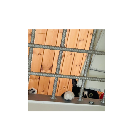 Dfee515e 7f01 45b3 8e99 505b87bd6363 s