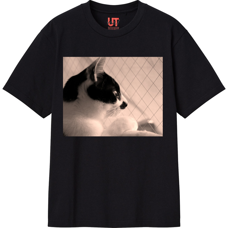 7a6cee00 2362 4e6f 8e82 a4bc1e43e696 111 print ll