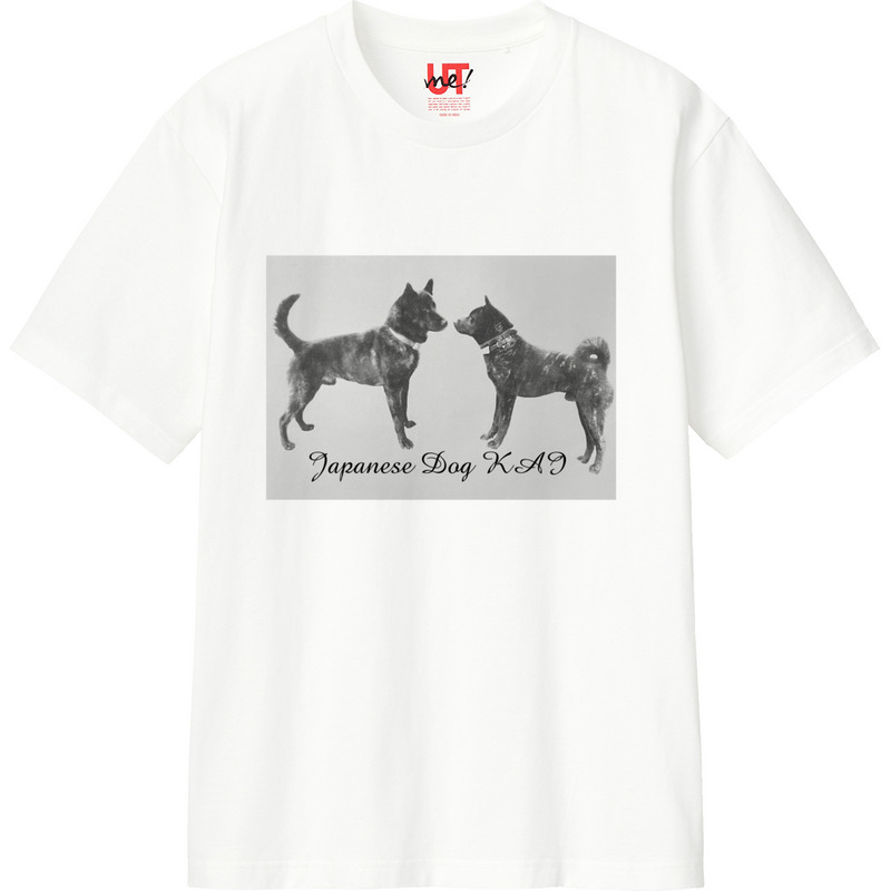 Cb388909 bc5a 4c84 b22d 0dc74034b8d8 110 print ll