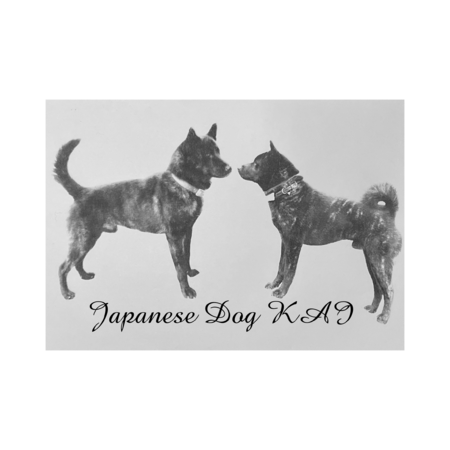 Cb388909 bc5a 4c84 b22d 0dc74034b8d8 s