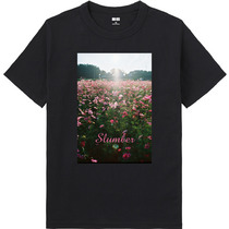 039288b2 23aa 406f a86e 4a84f3e20f06 65 print s