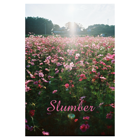 039288b2 23aa 406f a86e 4a84f3e20f06 s