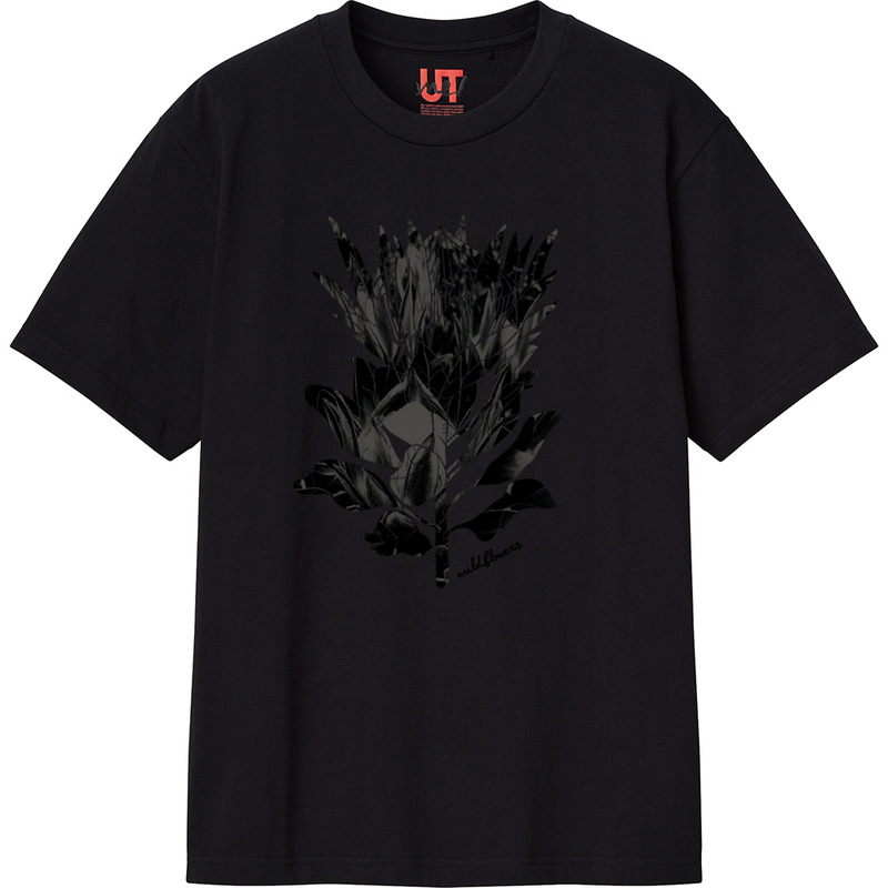 Cf00493c 9b83 4fb4 bb7a 35459c972ab9 111 print ll