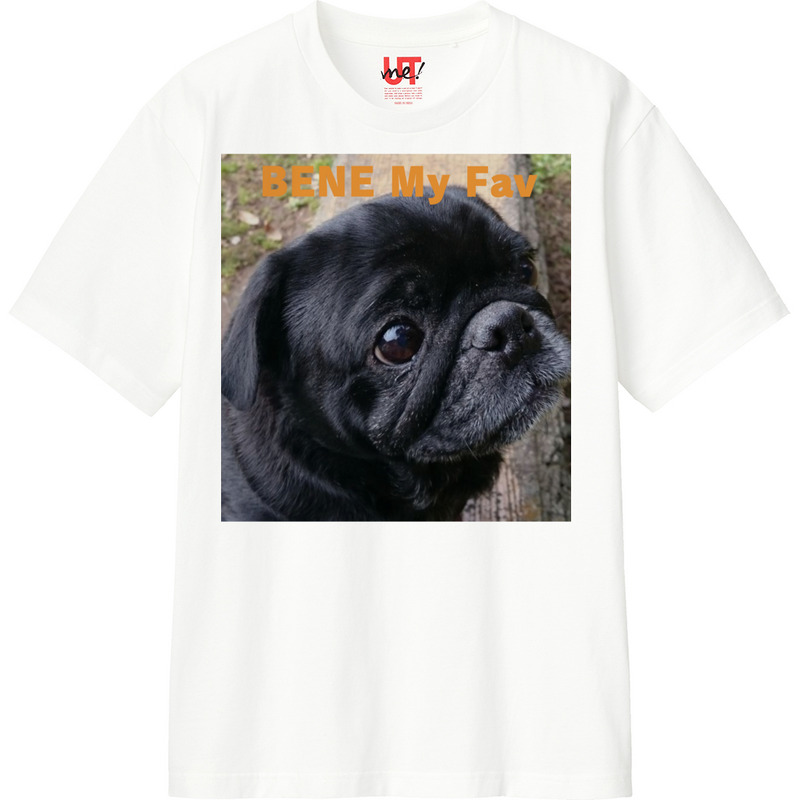 Bcaf1f89 b3c8 4034 a293 4f20ded58c59 110 print ll