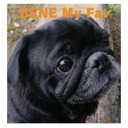 Bcaf1f89 b3c8 4034 a293 4f20ded58c59 s