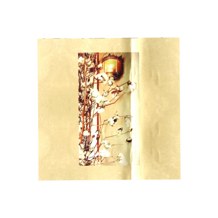 B13b6589 5cac 4d3e b273 ada820200a06 s