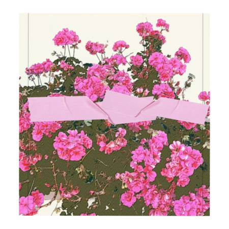 B16fc424 99fe 43b2 9839 815940306fb2 s