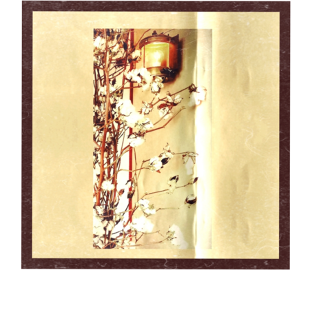 70620e01 33be 421e 8bfe c5767d460a5c s