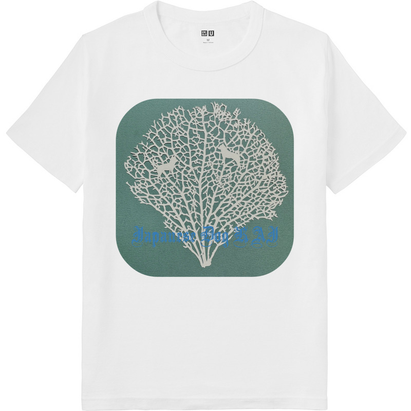 828dfeb1 3bba 40a1 a6b7 78d374fcc967 64 print ll