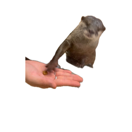 396aa8ef 774c 4b2f 9001 ed8d1cc36533 s