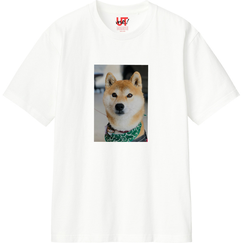 A6a76bc1 5b3f 4087 a436 95ccd26215ff 110 print ll