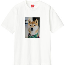 A6a76bc1 5b3f 4087 a436 95ccd26215ff 110 print s