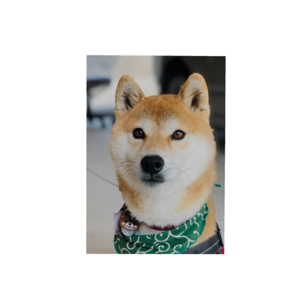 A6a76bc1 5b3f 4087 a436 95ccd26215ff s