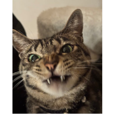 0142f0c7 8629 48b7 a23a 7dd307e9173a s