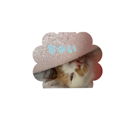 2015ac8a 5039 4008 b0cf d7a6d3674944 s